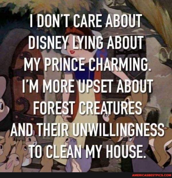 DONT CARE ABOUT DISNEY LYING ABOUT MY PRINCE CHARMING. I'M MORE UPSET ABOUT  FOREST CREATURES AND THEIR UNWILLINGNESS TO CLEAN HOUSE. 