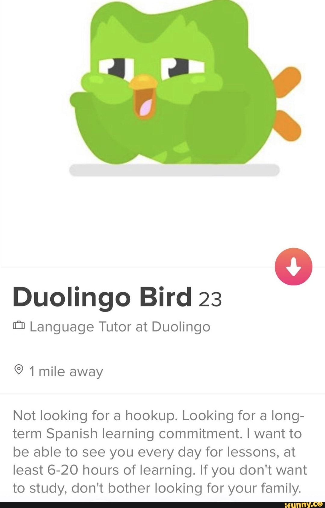 O Duolingo Bird 23 ªf" Language Tutor at Duolingo Not looking for a ho...