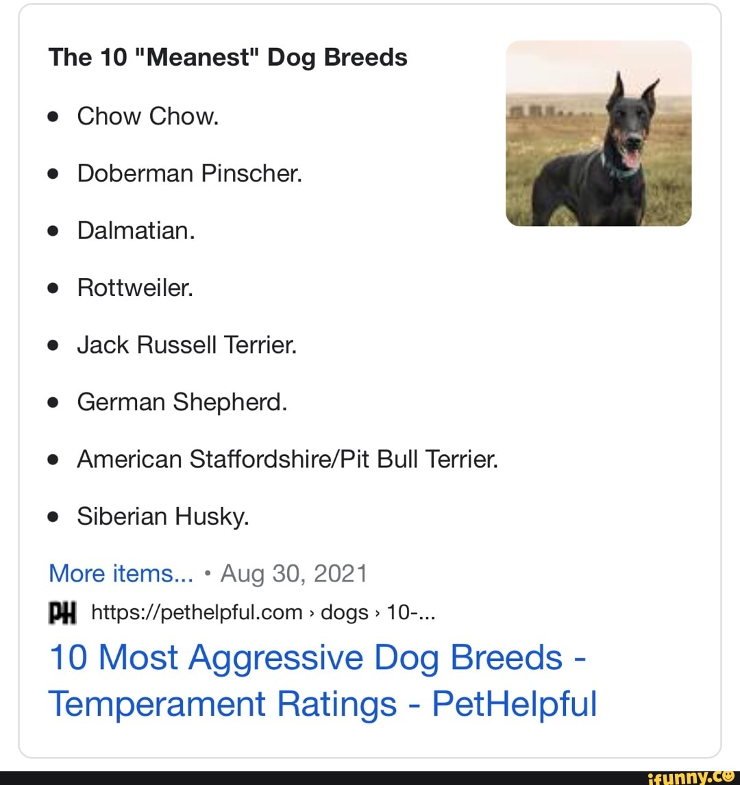 The 10 "Meanest" Dog Breeds e Chow Chow. Doberman Pinscher. e Dalmatian