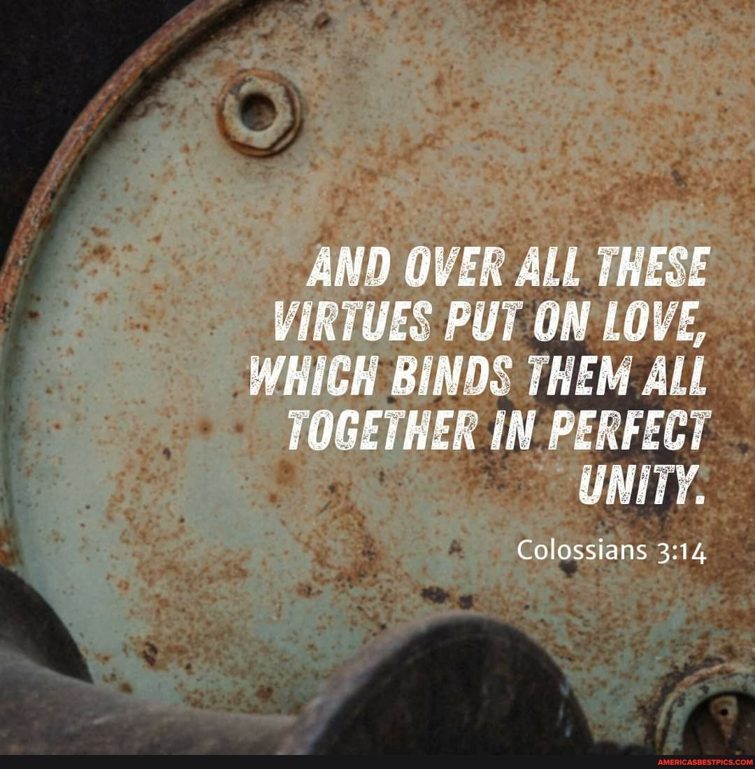 WIRTOES LOWE,
THEM ALL IN PERCEGT
Colossians