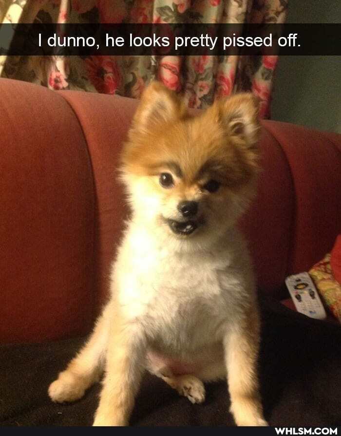 I dunno, he looks pretty pissed off.