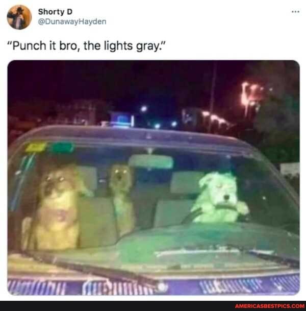 wy Shorty
"Punch it bro, the lights gray."