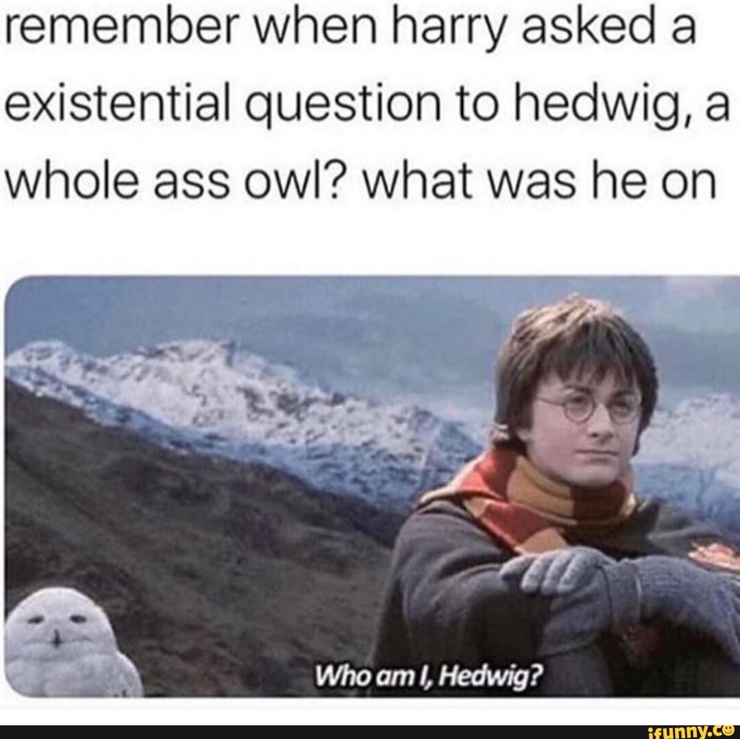 remember when harry asked a existential question to hedwig, a whole ass owl? what was he on
