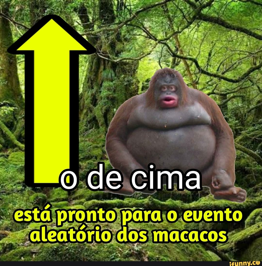 dos imacacosg