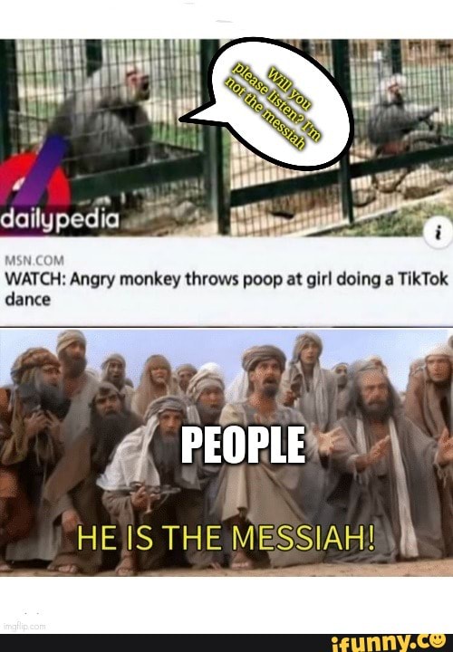 WATCH Angry monkey throws poop at girl doing a TikTok dance HE IS THE MESSIAH! iFunny