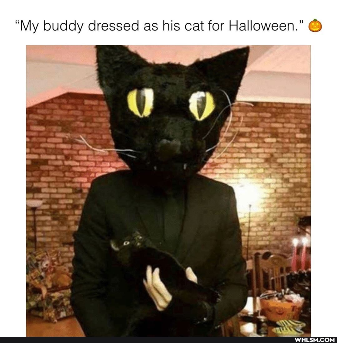 "My buddy dressed as his cat for Halloween."
of