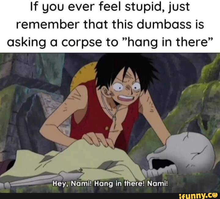 Nami memes. Best Collection of funny Nami pictures on iFunny