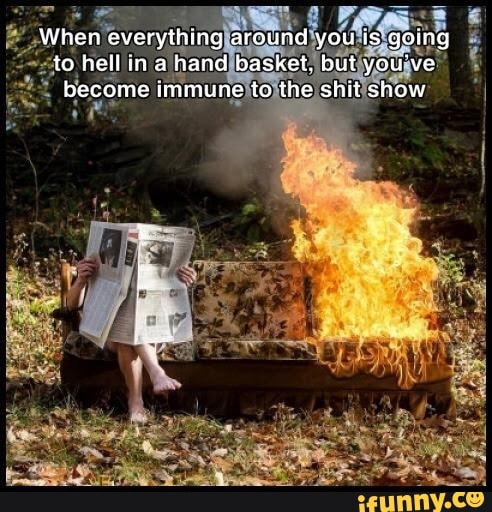 When everything around you is qoing to nell in hand basket. but you've become immune to the shit show
