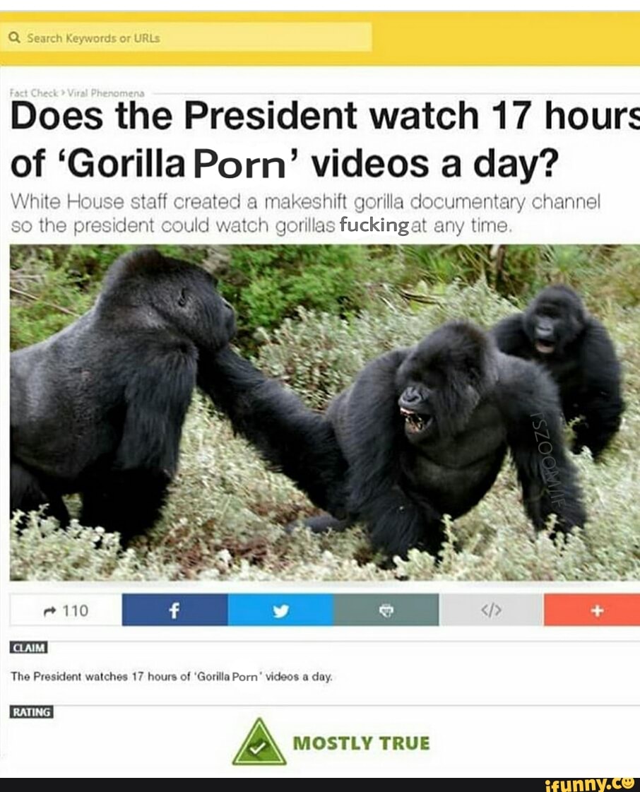 906px x 1121px - Does the President watch 17 hours of â€œGorilla Porn' videos a ...