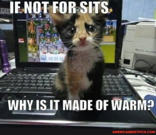 IF NOT FOR SITS
WHY IS IT MADE OF WARM?