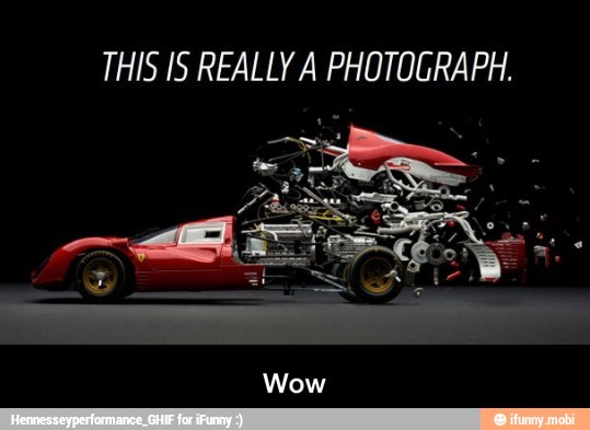 THIS IS REALLY A PHOTOGRAPH. - Wow