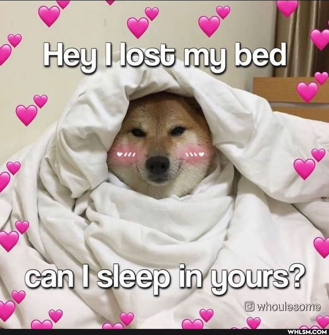 Hey lost my bed
can sleep in yours?:
PRAY