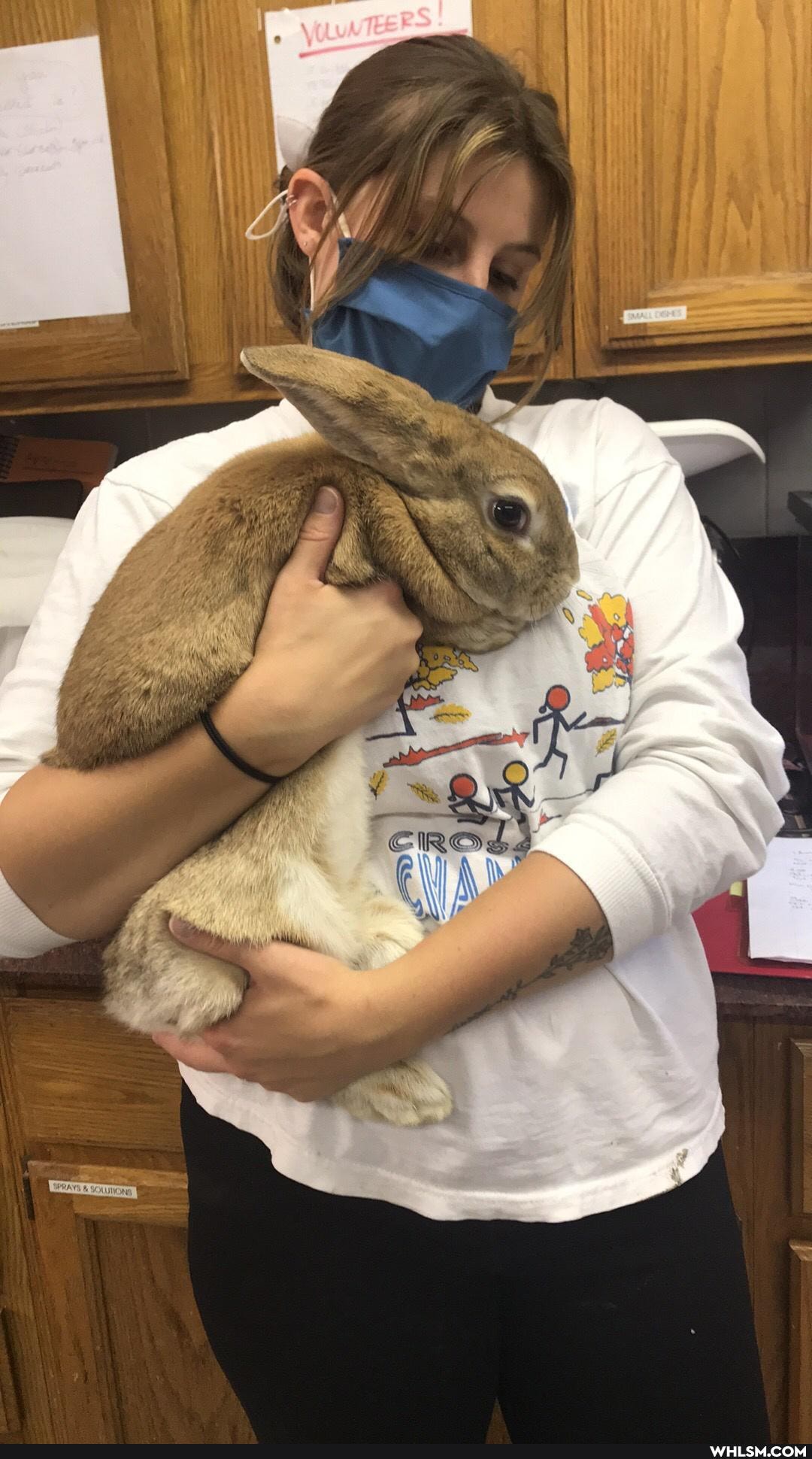 baby_animals, wildlife, wildlife_rehabilitation