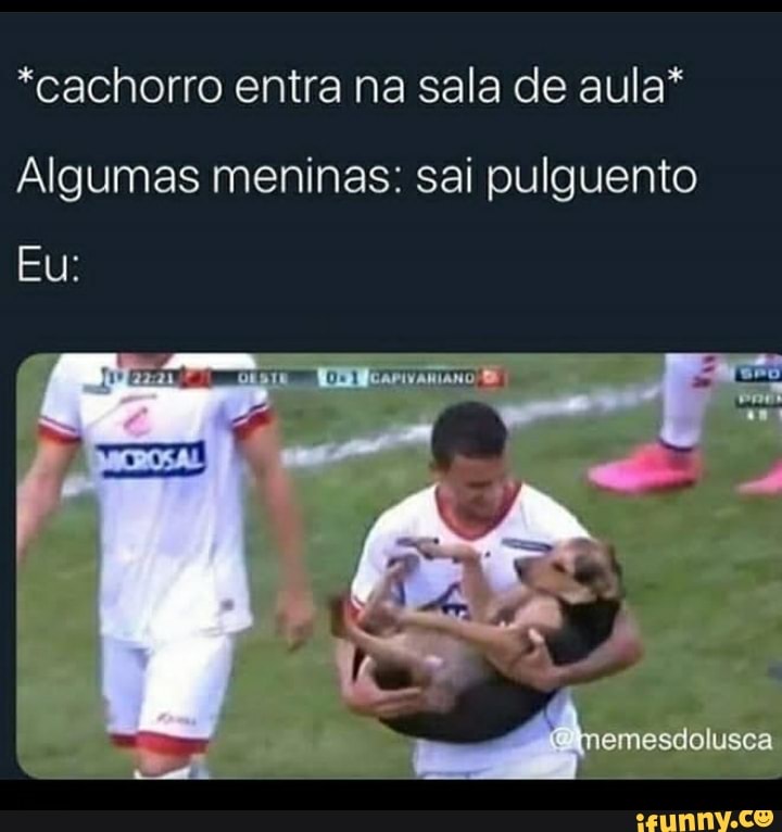*cachorro entra na sala de aula*
Algumas meninas: sai pulguento
Eu: