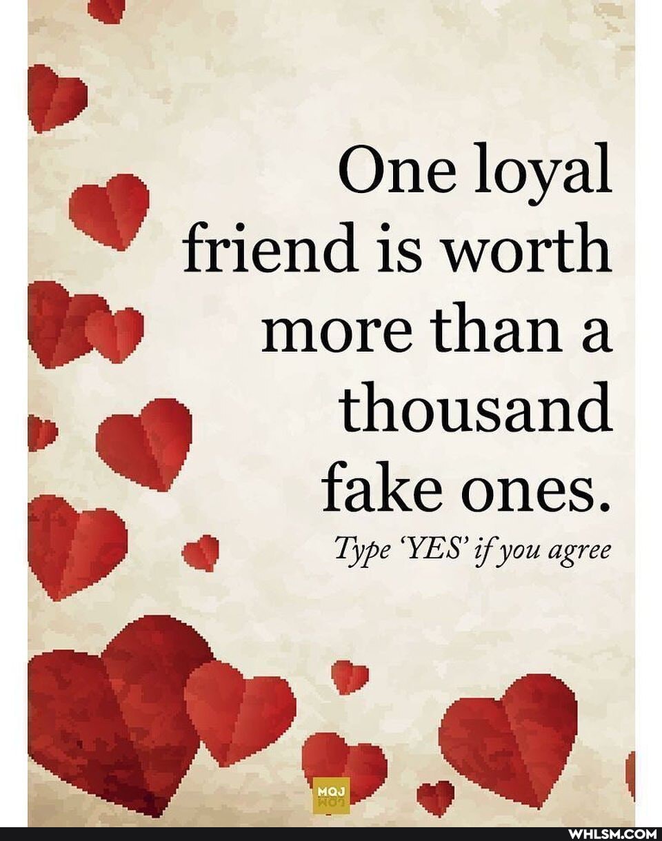 One loyal friend is worth more than a
thousand
fake ones.
Type 'YES' if you agree