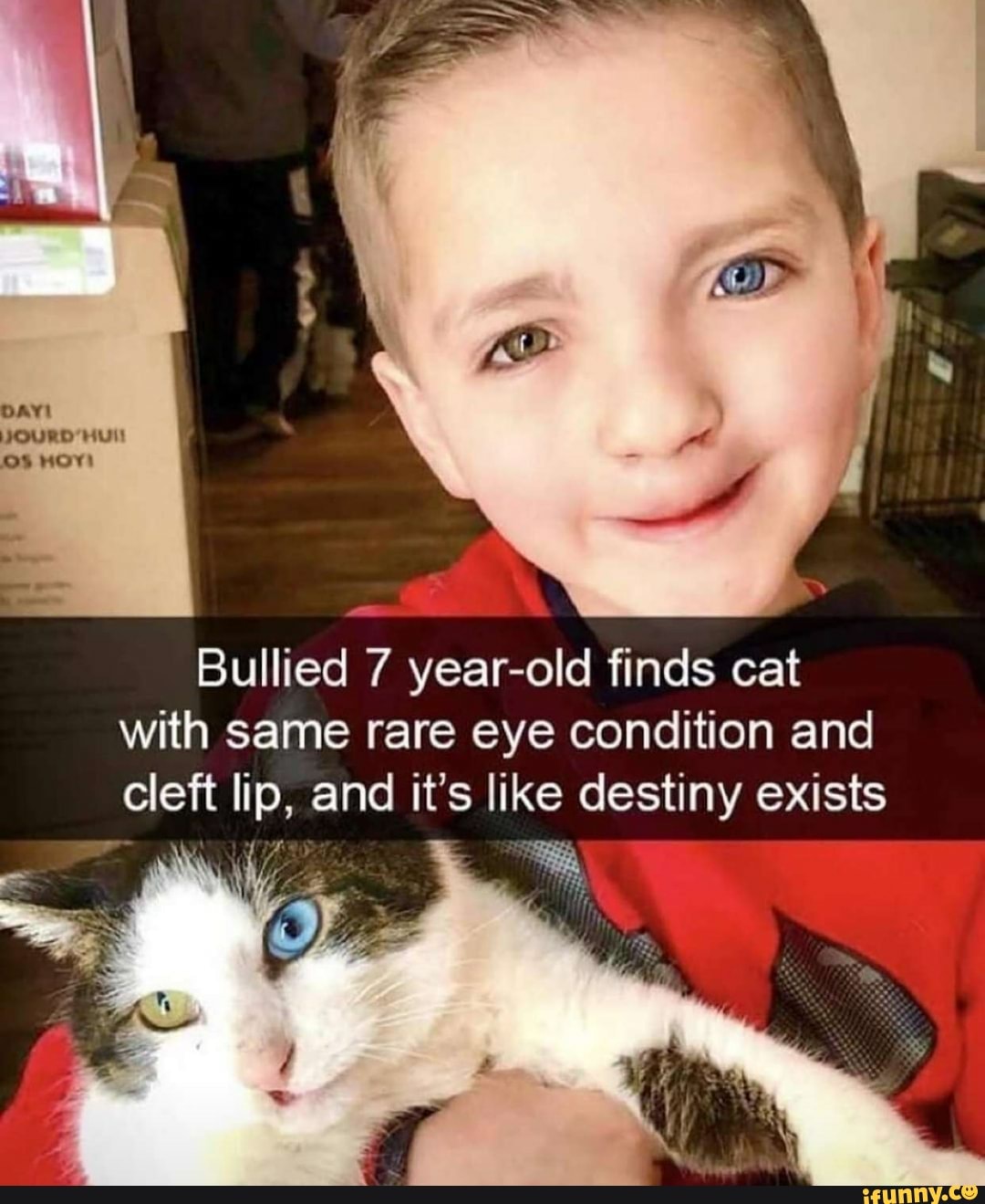 JOURD Bullied 7 year old finds cat with same rare eye condition and