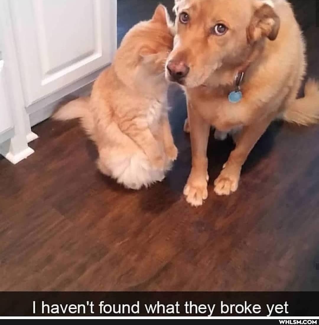 I haven't found what they broke vet