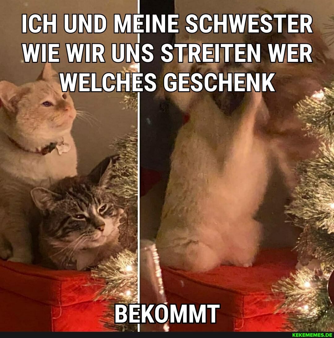 ICH UND MEINE SCHWESTER WIE WIR UNS STREITEN WER WELCHES GESCHENK
ER,
BEKOMMT