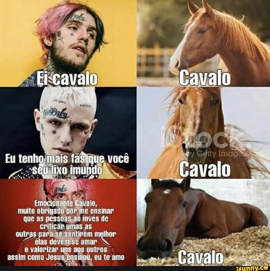 Ei cavalo Cavalo Cavalo Eu tenho mais fas que você -seu ltxo imundo ...