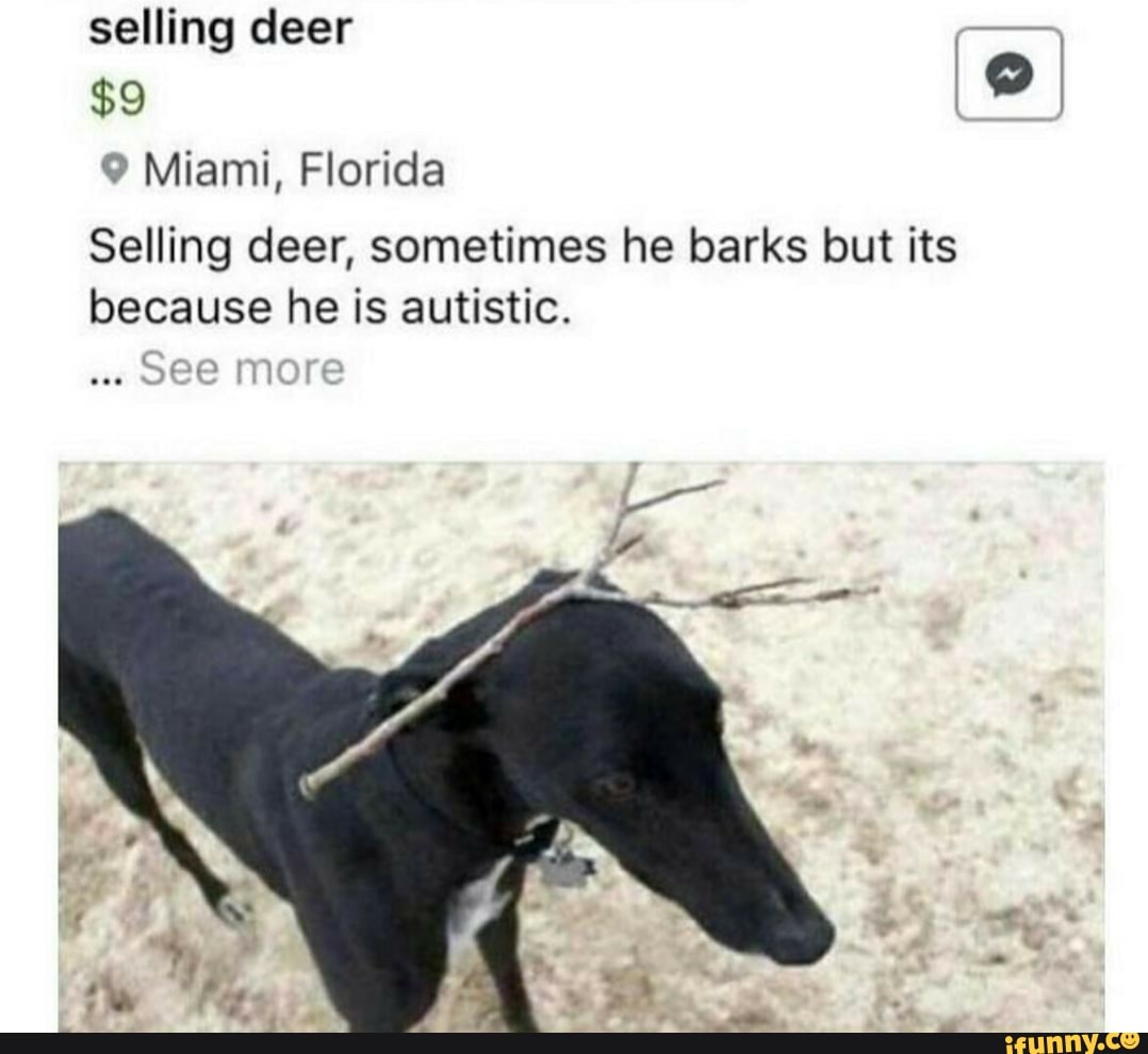 Selling deer, sometimes he barks but its because he is autistic. - iFunny