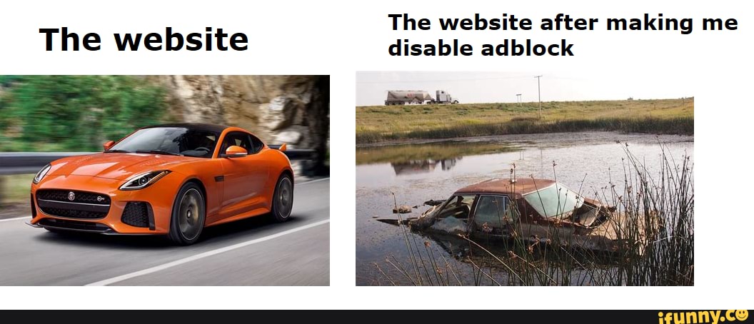 The website after making me
The website
disable adblock