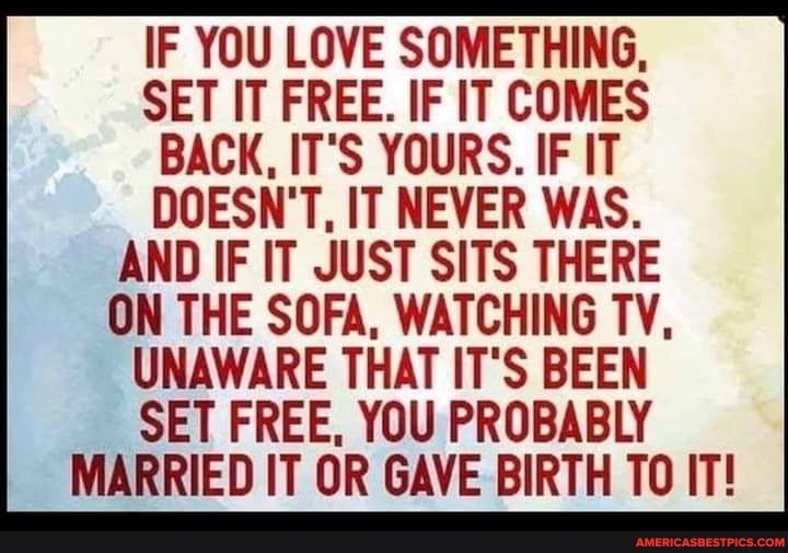 IF YOU LOVE SOMETHING,
SET IT FREE. IF IT COMES BACK, IT'S YOURS. IF IT DOESN'T, IT NEVER WAS.
AND IF IT JUST SITS THERE
ON THE SOFA, WATCHING TV,
UNAWARE THAT IT'S BEEN SET FREE, YOU PROBABLY
MARRIED IT OR GAVE BIRTH TO IT!