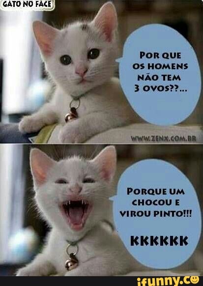 GATO NO FACE I
POR QUE
Os HOMENS
cHOCOU E
VIROU PINTO!!!