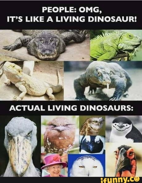 PEOPLE: OMG,
IT'S LIKE A LIVING DINOSAUR!