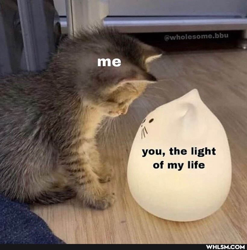 you, the light of my life