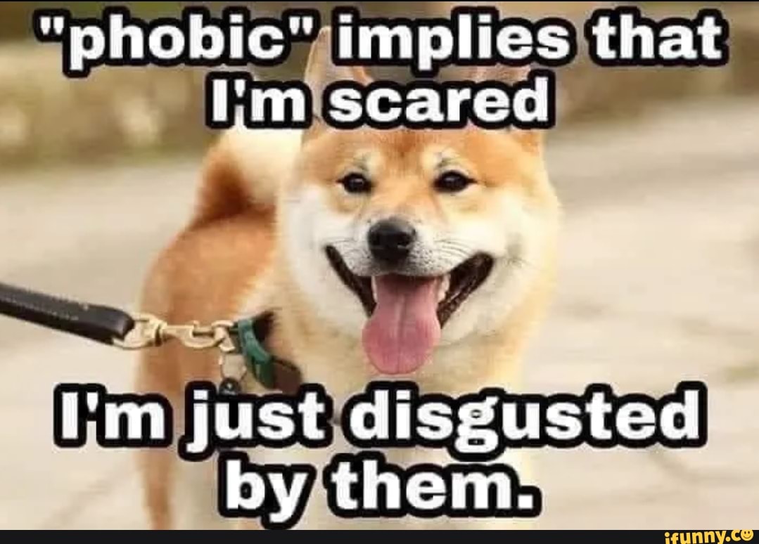 Гифки дебил. Degree meme. Don't hug me. Красный don't hug me im scared. I m scared гиф.