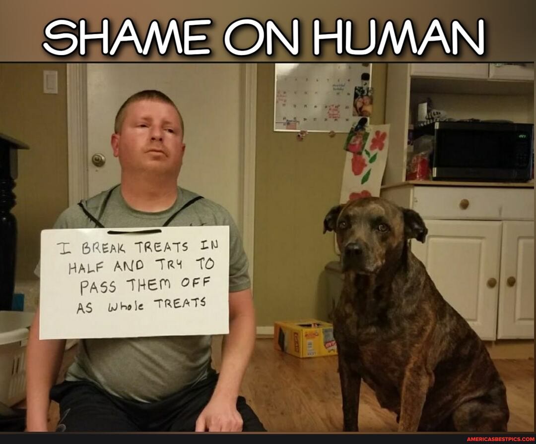 SHAME ON HUMAN
UMAN
GREAK TREATS IN HALE ANO TO
PASS THEM OFF AS Whole TREATS
