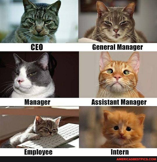 General Manager
Assistaat Manager
Employee Intern