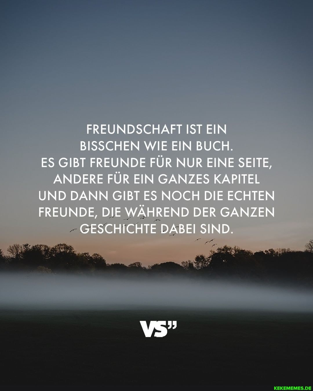 FREUNDSCHAFT IST EIN BISSCHEN WIE EIN BUCH.
ES GIBT FREUNDE FÜR NUR EINE SEITE,
ANDERE FÜR EIN GANZES KAPITEL UND DANN GIBT ES NOCH DIE ECHTEN FREUNDE, DIE WÄHREND DER GANZEN GESCHICHTE DABEI SIND.