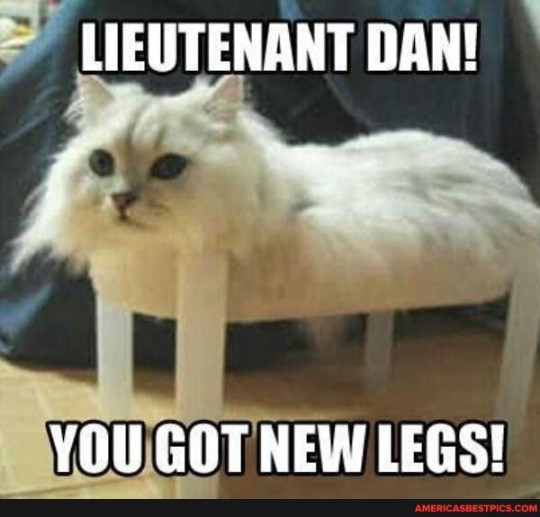 LIEUTENANT DAN!
ff
YOU GOT NEW LEGS!