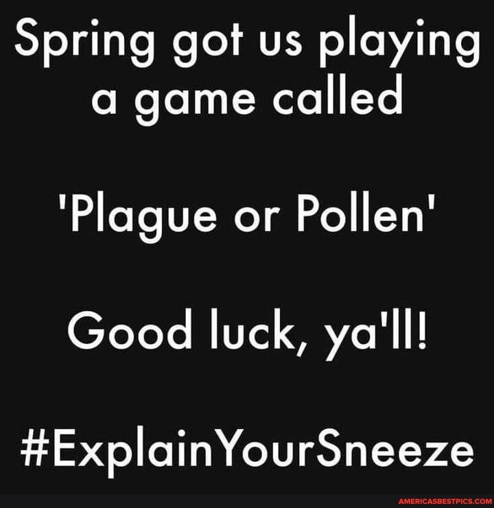 Spring got us playing a game called
'Plague or Pollen'
Good luck, ya'll!
#ExplainYourSneeze