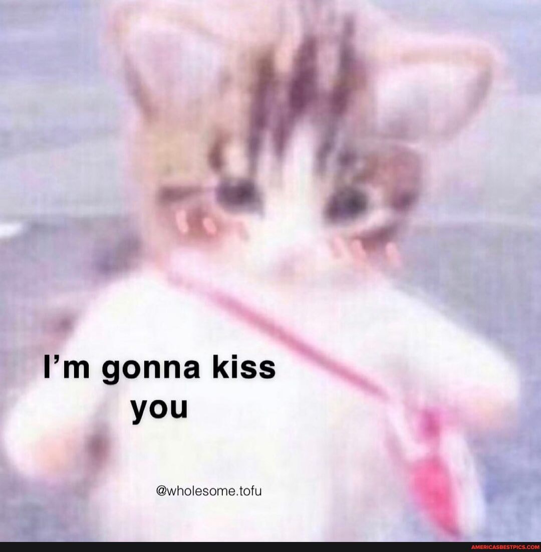 m gonna kiss you
@wholesome.tofu
