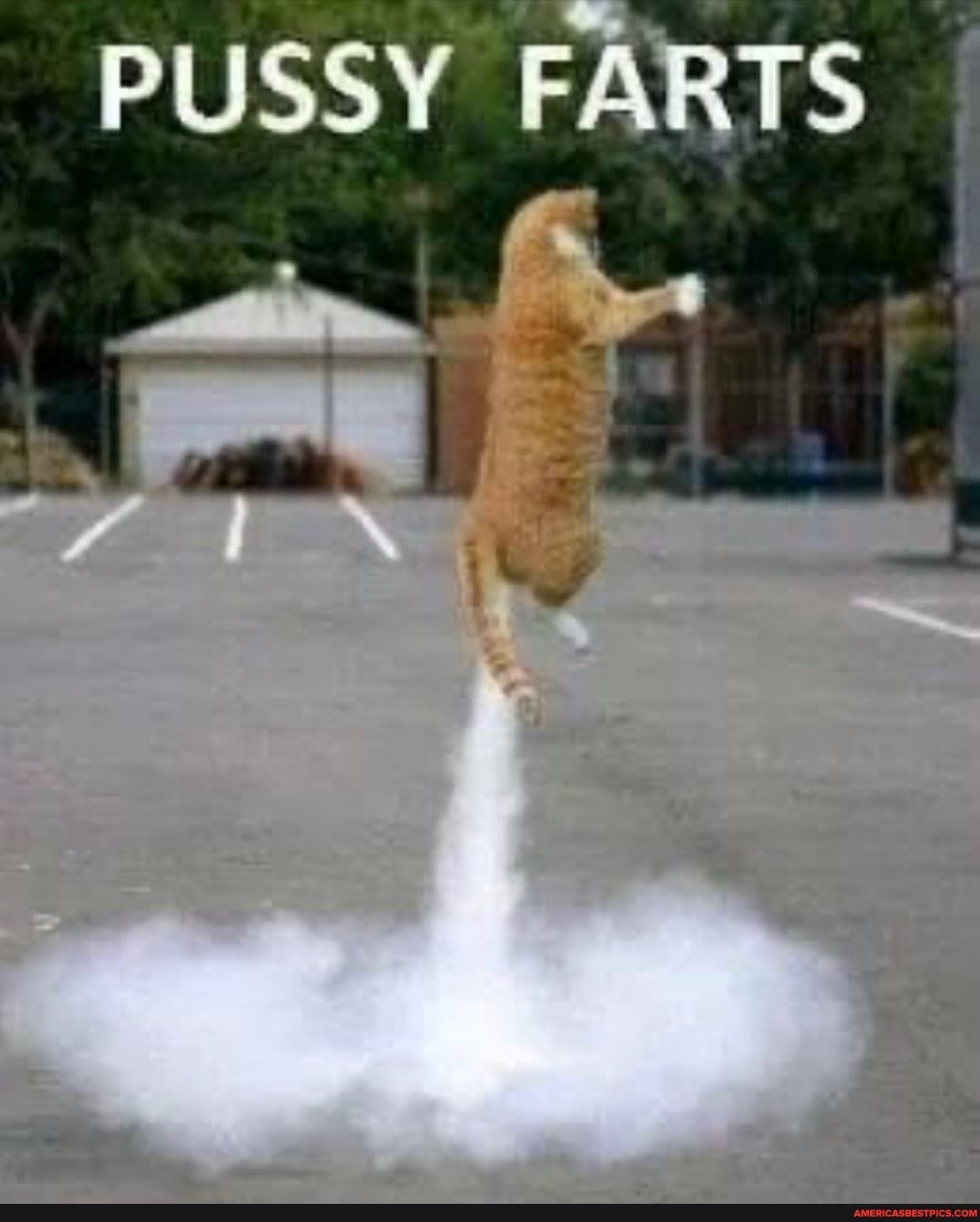 PUSSY FARTS I