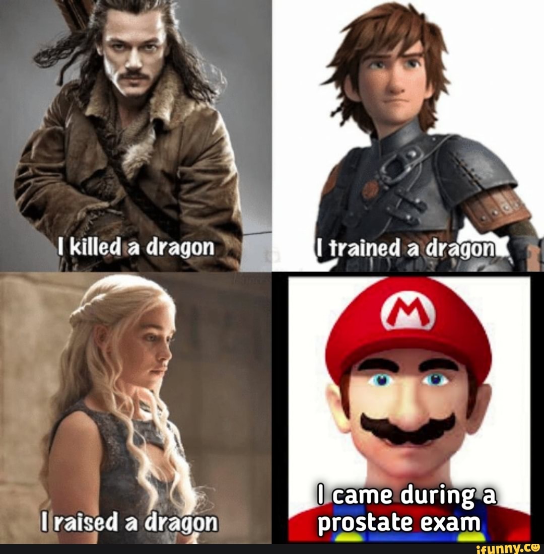 I Trained A Dragon I Raised A Dragon Meme