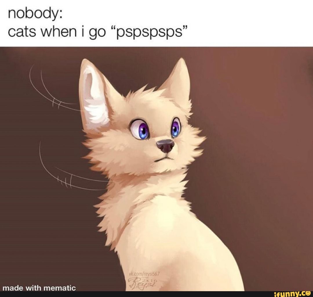 nobody: cats when go "osospsps"