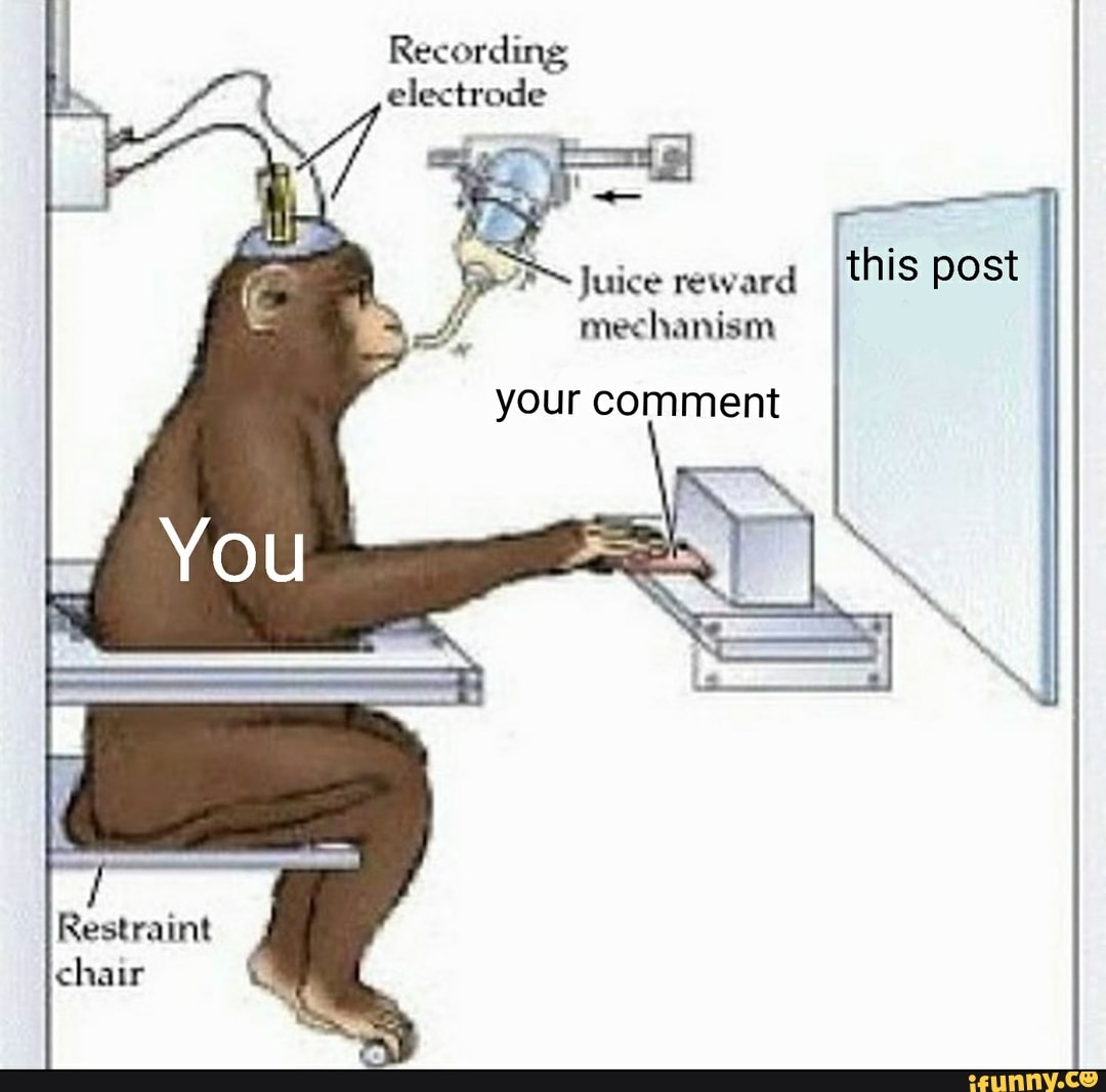 PP Juice reward
this post
Y
mechanism
your comment