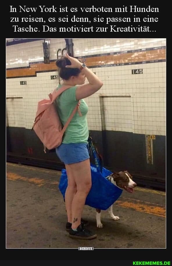 In New York ist es verboten mit Hunden zu reisen, es sei denn, sie passen in eine
Tasche. Das motiviert zur Kreativität...