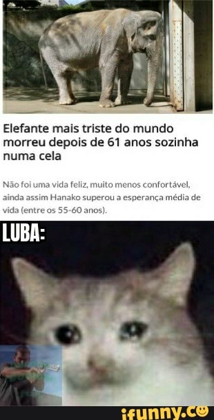 Elefante mais triste do mundo
morreu depois de 61 anos sozinha
numa cela
uma
vida feliz, muito menos
confortável,
ako superou a esperança média de
55-60 anos)
