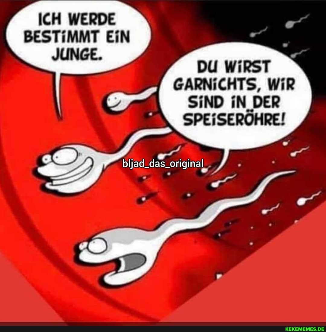 ICH WERDE BESTIMMT EiN JUNGE.
DU WiRST
GARNICHTS, WiR SIND iN DER SPEiSERÖHRE!