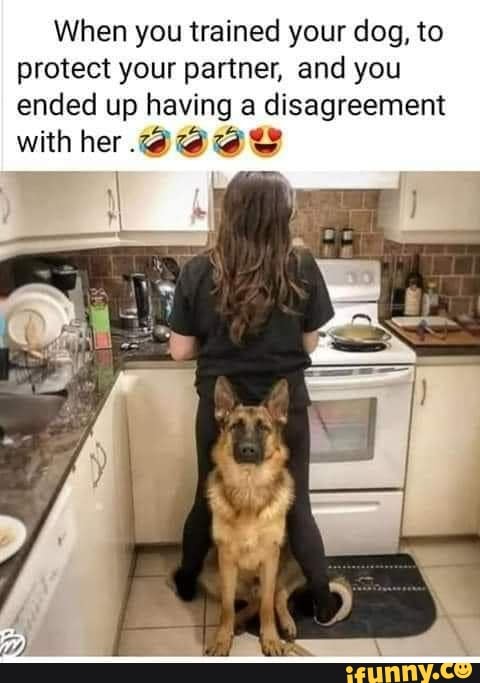 When you trained your dog, to protect your partner, and you ended up having disagreement
with her