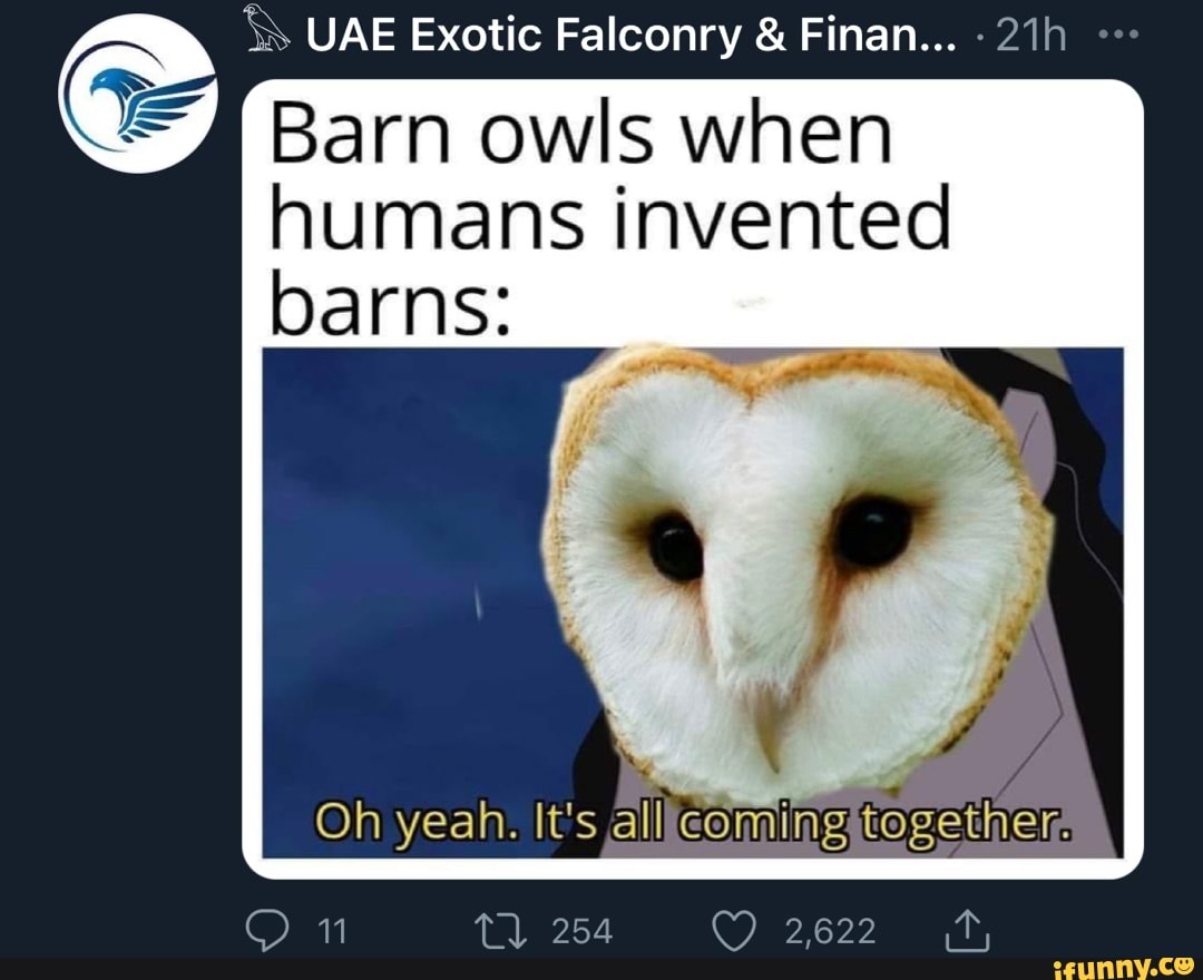 UAE Exotic Falconry & Finan... Barn owls when humans invented barns: Oh ...