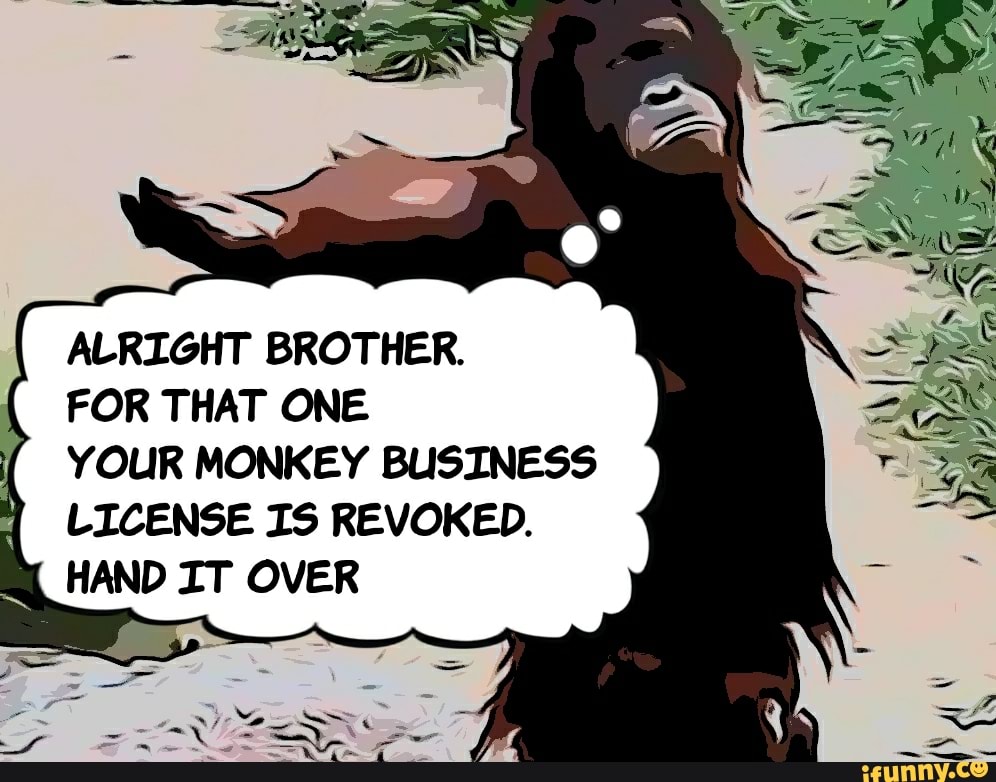 ALRIGHT BROTHER. FOR THAT ONE YOUR MONKEY BUSINESS LICENSE IS REVOKED