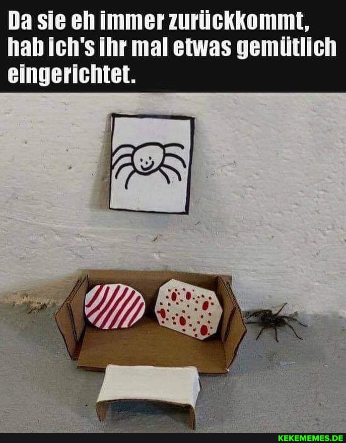 Da sie eh immer zurückkommt, hab ich's ihr mal etwas gemütlich eingerichtet.