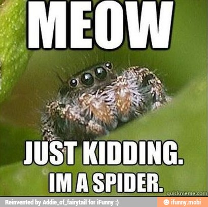 JUST KIDDING.
IMASPIDER: