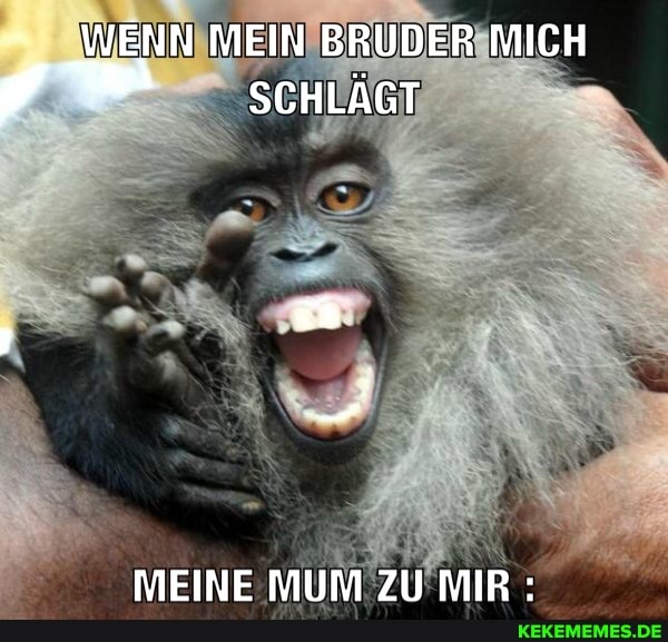 WENN MEIN BRUDER MICH SCHLÄGT
MEINE MUM ZU MIR :
