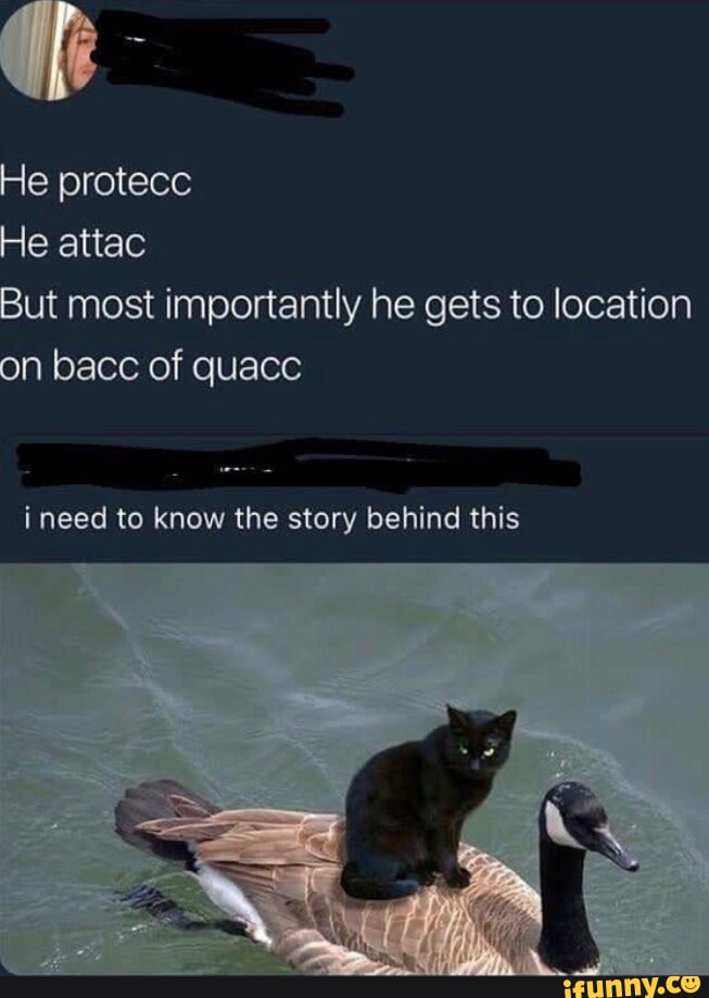 There are actually 11 seasons winter fool's spring second winter spring ...